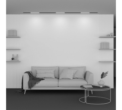 Трековый магнитный светильник Maytoni Basis TR030-2-12W2.7K-B Трековый магнитный светильник Maytoni Basis TR030-2-12W2.7K-B