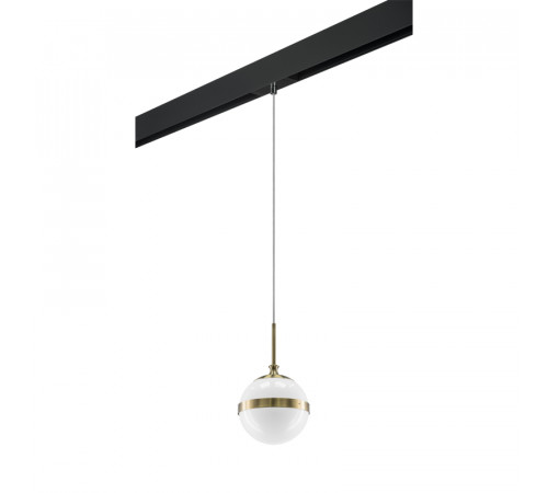 Трековый светильник Lightstar Globo PRO813111 (813111+595007) Трековый светильник Lightstar Globo PRO813111 (813111+595007)
