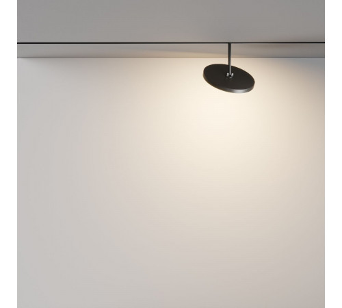 Трековый магнитный светильник Maytoni Plato TR131-2-15W3K-B