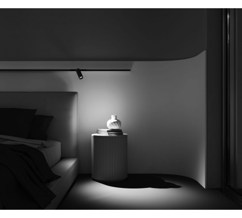 Трековый магнитный светильник Maytoni Focus Led TR032-2-12W3K-M-BBS