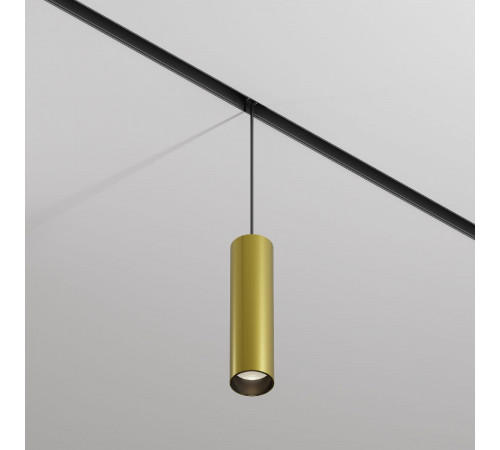 Трековый магнитный светильник Maytoni Focus Led TR041-2-12W4K-BBS