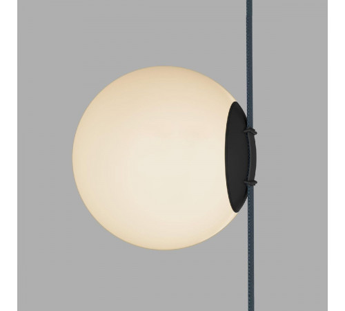 Трековый однофазный светильник Denkirs Belty Orb DK5553-BK Трековый однофазный светильник Denkirs Belty Orb DK5553-BK