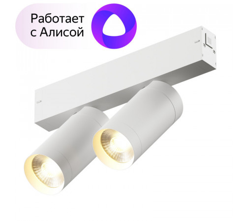 Трековый светильник Denkirs Smart DK8012-WH