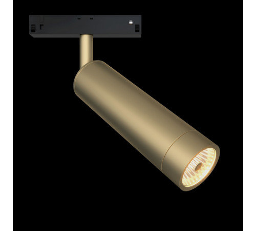 Трековый светильник Maytoni Focus LED  TR019-2-7W3K-MG