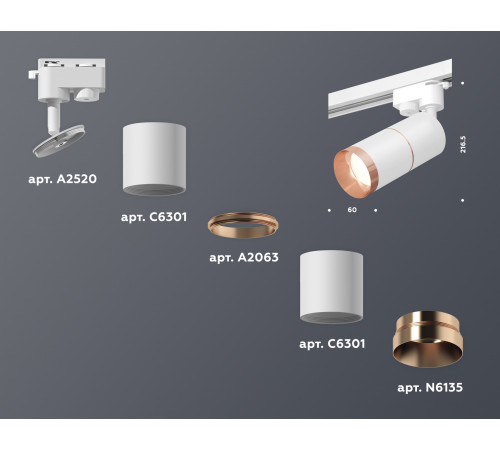 Трековый однофазный светильник Ambrella Light Track System XT6301031 (A2520, C6301, A2063, C6301, N6135) Трековый однофазный светильник Ambrella Light Track System XT6301031 (A2520, C6301, A2063, C6301, N6135)