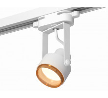 Трековый однофазный светильник Ambrella Light Track System XT6601023 (C6601, N6124)