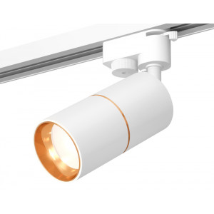 Трековый однофазный светильник Ambrella Light Track System XT6301020 (A2520, C6301, A2062, C6301, N6113)