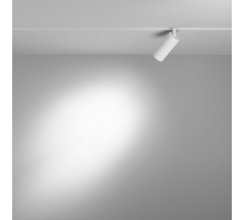 Трековый магнитный светильник Maytoni Focus LED TR032-2-5W4K-S-W Трековый магнитный светильник Maytoni Focus LED TR032-2-5W4K-S-W