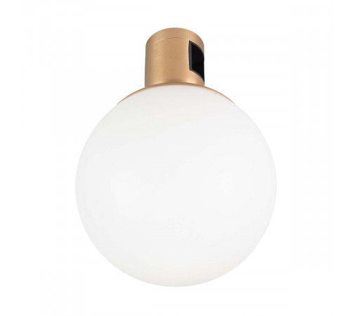 Трековый светильники Arlight ART-APRIORI-SFERO-R120-5W Warm3000 039289 Трековый светильники Arlight ART-APRIORI-SFERO-R120-5W Warm3000 039289