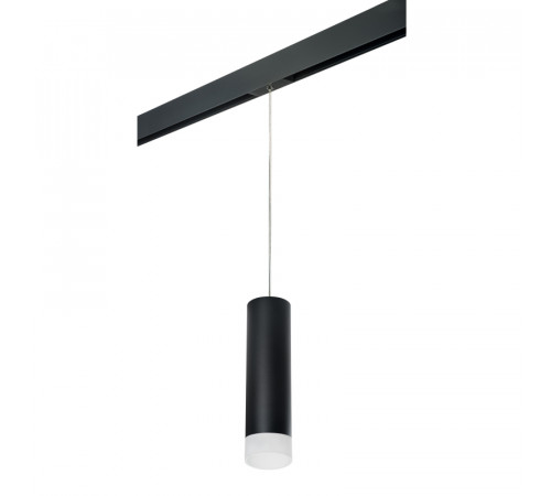 Трековый светильник Lightstar Rullo PRORP649781 (216497+595887+202481)