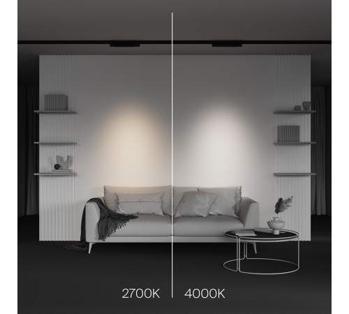 Трековый трехфазный светильник Maytoni Points TR195-3-10W4K-M-B