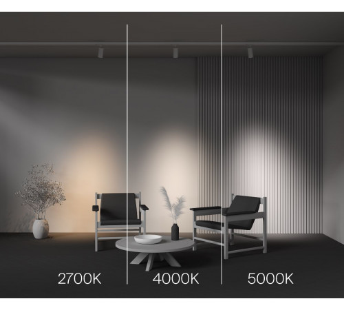 Трековый трехфазный светильник Maytoni Focus Led TR197-3-20WCCT-M-W