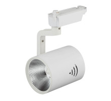 Трековый светильник ЭРА TR1 - 30 WH Б0032099