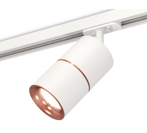 Комплект трекового светильника Ambrella Light Track System XT7401030 (A2536, C7401x2, A2073, N7015) Комплект трекового светильника Ambrella Light Track System XT7401030 (A2536, C7401x2, A2073, N7015)