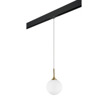 Трековый светильник Lightstar Globo PRO813022 (813022+595007)