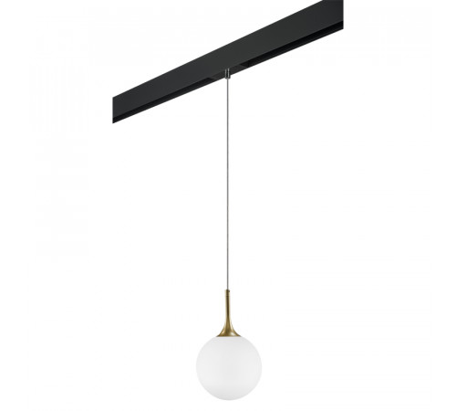 Трековый светильник Lightstar Globo PRO813022 (813022+595007)