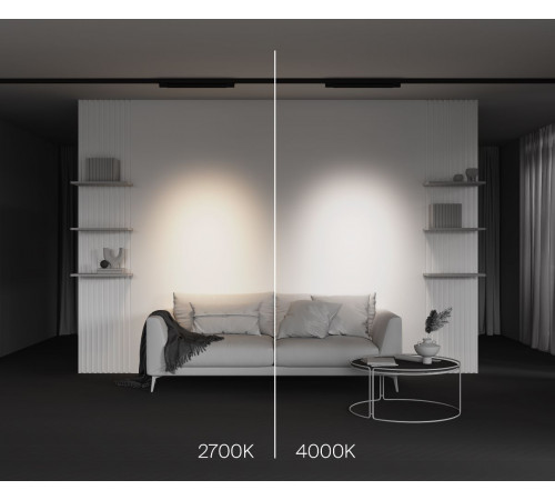 Трековый трехфазный светильник Maytoni Points TR195-3-20W4K-M-B Трековый трехфазный светильник Maytoni Points TR195-3-20W4K-M-B