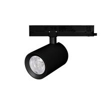 Трековый светодиодный светильник Arlight LGD-Nika-4TR-R100-30W Day4000 031172