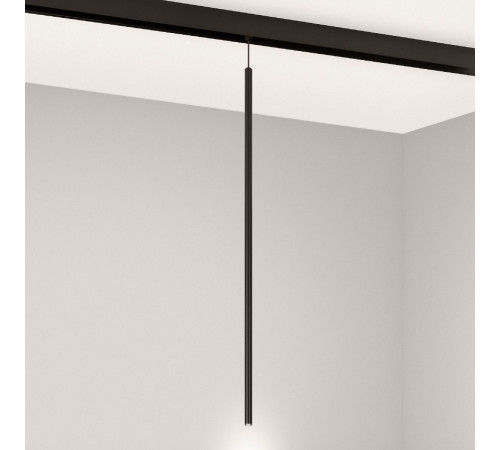 Трековый магнитный светильник Arlight MAG-ORIENT-SPOT-HANG-L600-R12-2W Day4000 (BK, 20 deg, 48V) 044501 Трековый магнитный светильник Arlight MAG-ORIENT-SPOT-HANG-L600-R12-2W Day4000 (BK, 20 deg, 48V) 044501