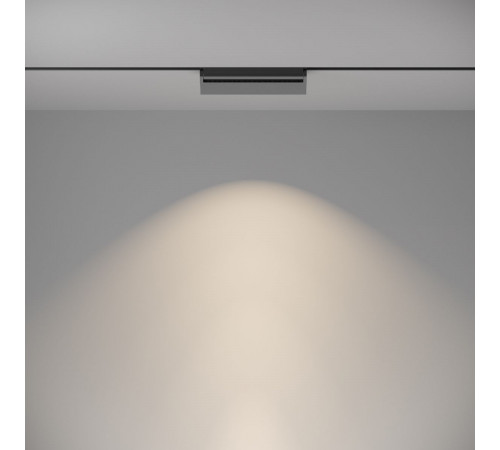 Трековый светильник Maytoni Track lamps TR013-2-20W4K-B