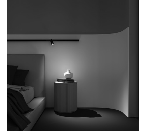 Трековый магнитный светильник Maytoni Focus Led TR032-2-5W2.7K-M-B Трековый магнитный светильник Maytoni Focus Led TR032-2-5W2.7K-M-B