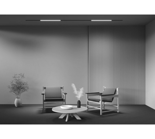 Трековый светильник Maytoni Technical Basis TR074-2-20W4K-B
