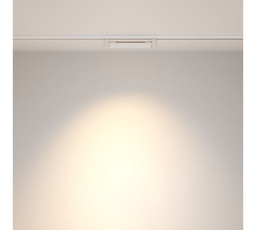 Трековый однофазный светильник Maytoni Points Rot TR010-1-10W4K-M-W