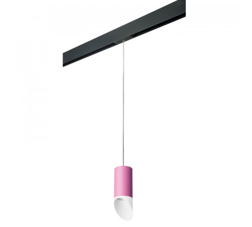 Трековый светильник Lightstar Rullo PRORP432 (214432+595857) Трековый светильник Lightstar Rullo PRORP432 (214432+595857)