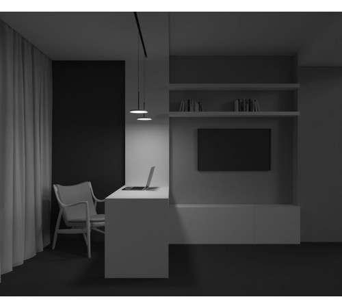 Трековый магнитный светильник Maytoni Plato TR123-2-15W3K-B