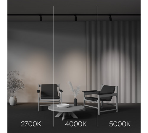 Трековый трехфазный светильник Maytoni Technical Three phase track system Trinity Focus Led TR197-3-12WCCT-M-B Трековый трехфазный светильник Maytoni Technical Three phase track system Trinity Focus Led TR197-3-12WCCT-M-B