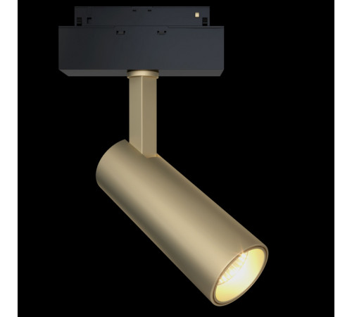 Трековый светильник Maytoni Focus LED TR019-2-10W4K-MG Трековый светильник Maytoni Focus LED TR019-2-10W4K-MG