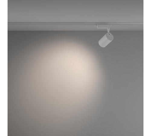 Трековый светильник Maytoni Technical Vuoro TR003-1-26W4K-W-W