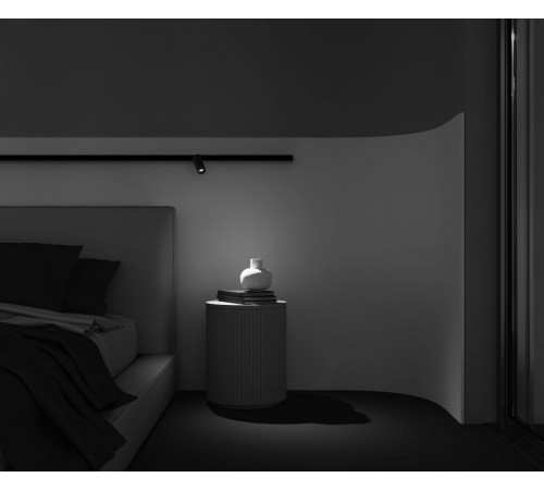 Трековый магнитный светильник Maytoni Focus Led TR032-2-5W3K-M-BBS Трековый магнитный светильник Maytoni Focus Led TR032-2-5W3K-M-BBS