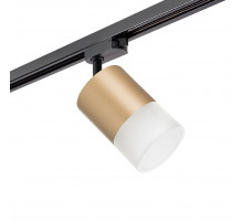 Трековый однофазный светильник Lightstar Rullo (213490+592087+202481) R1T349081