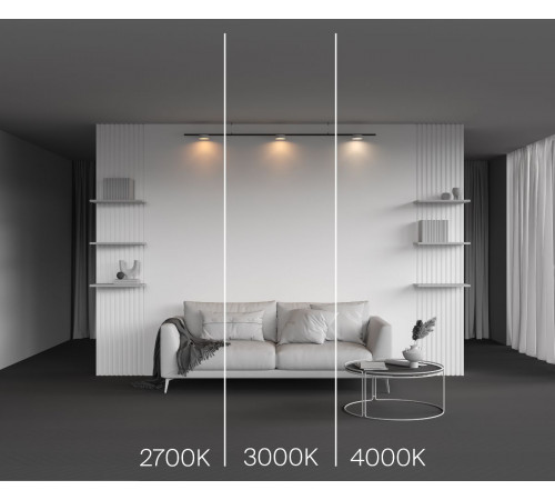 Трековый магнитный светильник Maytoni Zon TR189-1-12W2.7K-BW