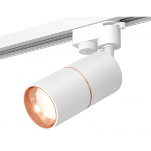 Трековый однофазный светильник Ambrella Light Track System XT6301030 (A2520, C6301, A2063, C6301, N6114)