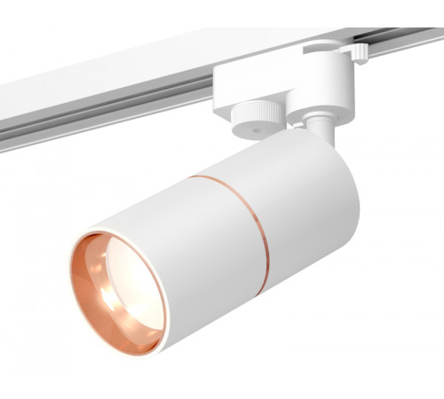 Трековый однофазный светильник Ambrella Light Track System XT6301030 (A2520, C6301, A2063, C6301, N6114) Трековый однофазный светильник Ambrella Light Track System XT6301030 (A2520, C6301, A2063, C6301, N6114)
