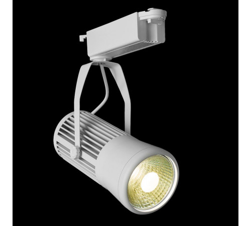 Трековый светильник Arte Lamp Track Lights A6330PL-1WH Трековый светильник Arte Lamp Track Lights A6330PL-1WH