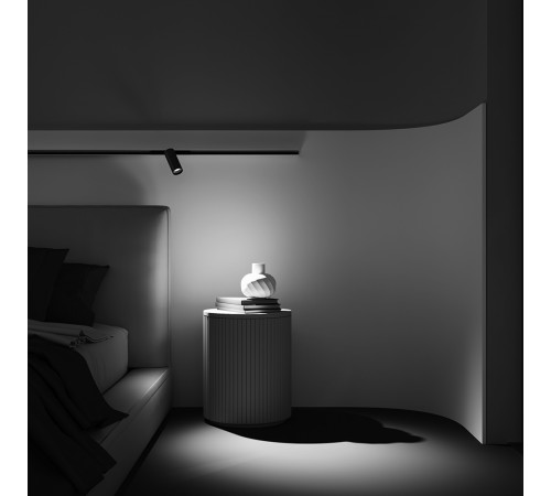 Трековый магнитный светильник Maytoni Focus Led TR032-2-12W3K-M-BBS