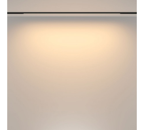 Трековый магнитный светильник Maytoni Basis TR173-1-24WTW-B