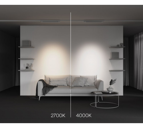 Трековый трехфазный светильник Maytoni Points TR195-3-20W2.7K-M-W