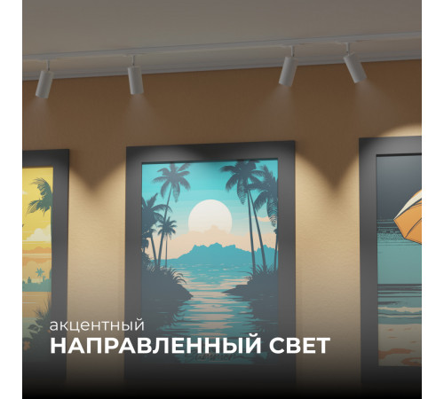 Трековый однофазный светильник Apeyron 25-01