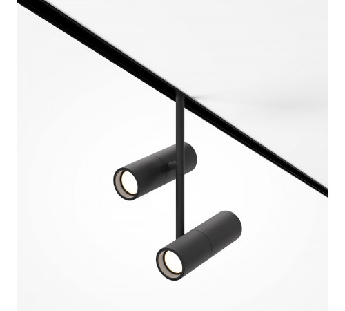 Трековый магнитный светильник Maytoni Elti Duo TR005-2-2X12W3K-B