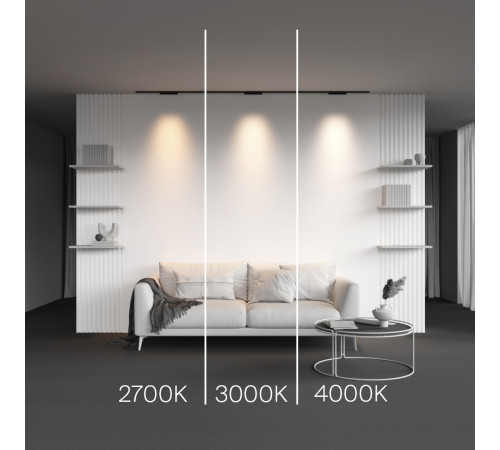 Трековый магнитный светильник Maytoni Points TR193-1-10W4K-M-B