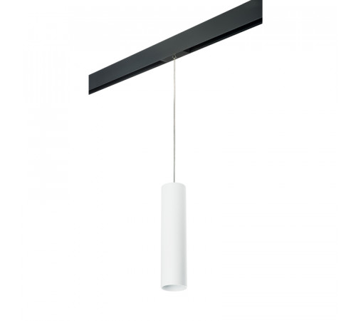 Трековый светильник Lightstar Rullo PRORP496 (214496+595857) Трековый светильник Lightstar Rullo PRORP496 (214496+595857)