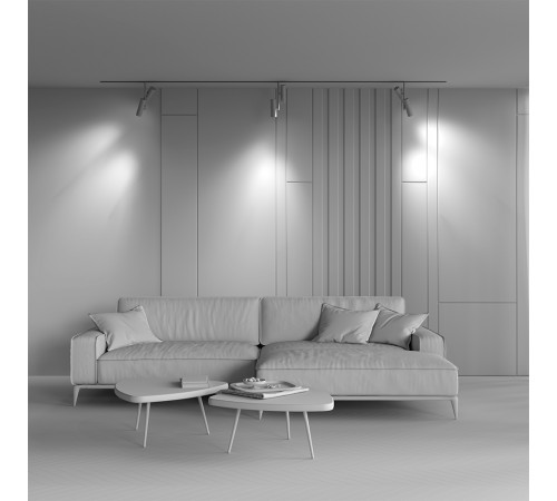 Трековый магнитный светильник Maytoni Elti Duo TR005-4-2X12W-DS-BW Трековый магнитный светильник Maytoni Elti Duo TR005-4-2X12W-DS-BW