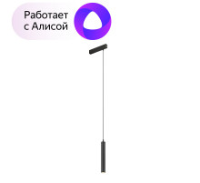 Трековый светильник Denkirs Smart DK8008-BK