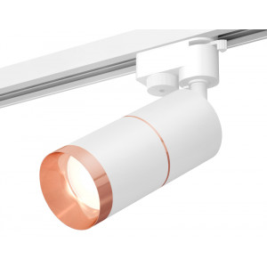 Трековый однофазный светильник Ambrella Light Track System XT6301031 (A2520, C6301, A2063, C6301, N6135)