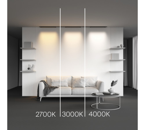 Трековый магнитный светильник Maytoni Basis TR192-1-16W3K-B Трековый магнитный светильник Maytoni Basis TR192-1-16W3K-B