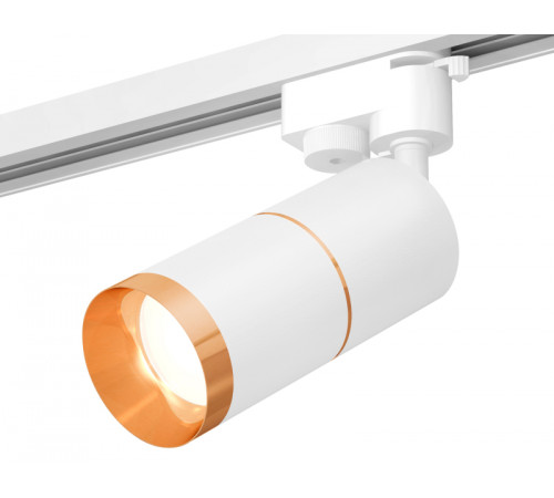 Трековый однофазный светильник Ambrella Light Track System XT6301021 (A2520, C6301, A2062, C6301, N6134) Трековый однофазный светильник Ambrella Light Track System XT6301021 (A2520, C6301, A2062, C6301, N6134)